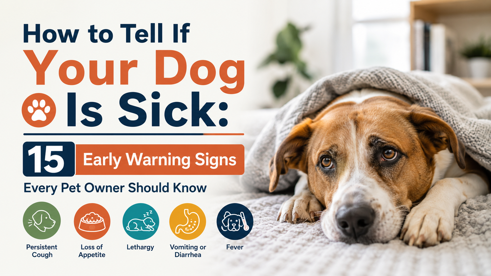 How to Tell If Your Dog Is Sick: 15 Early Warning Signs Every Pet Owner Should Know